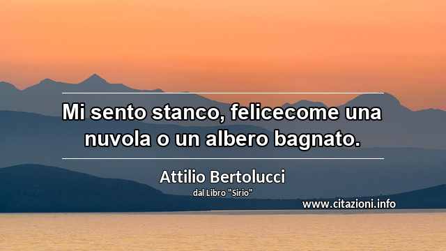 “Mi sento stanco, felicecome una nuvola o un albero bagnato.”