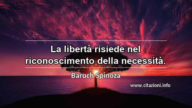 “La libertà risiede nel riconoscimento della necessità.”