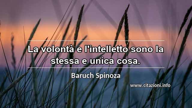 “La volontà e l'intelletto sono la stessa e unica cosa.”