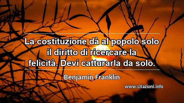 “La costituzione dà al popolo solo il diritto di ricercare la felicità. Devi catturarla da solo.”