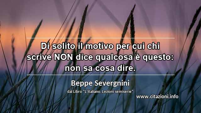 “Di solito il motivo per cui chi scrive NON dice qualcosa è questo: non sa cosa dire.”