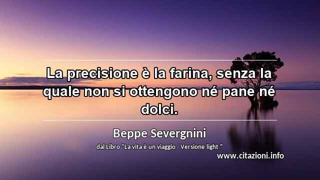 “La precisione è la farina, senza la quale non si ottengono né pane né dolci.”