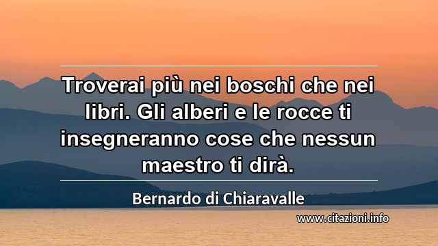 “Troverai più nei boschi che nei libri. Gli alberi e le rocce ti insegneranno cose che nessun maestro ti dirà.”