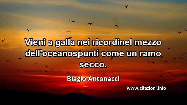 “Vieni a galla nei ricordinel mezzo dell'oceanospunti come un ramo secco.”