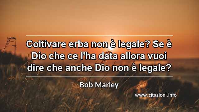“Coltivare erba non è legale? Se è Dio che ce l'ha data allora vuoi dire che anche Dio non è legale?”