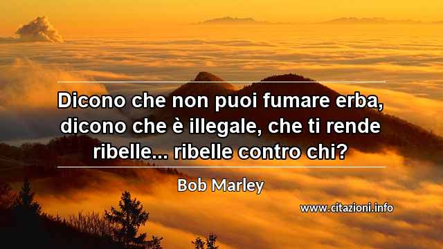 “Dicono che non puoi fumare erba, dicono che è illegale, che ti rende ribelle... ribelle contro chi?”
