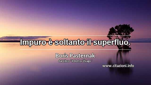 “Impuro è soltanto il superfluo.”