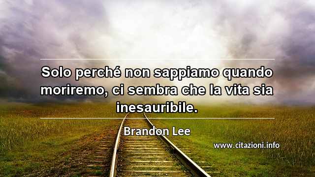 “Solo perché non sappiamo quando moriremo, ci sembra che la vita sia inesauribile.”