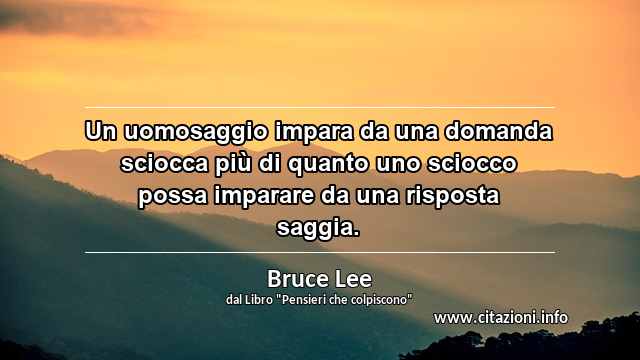 “Un uomosaggio impara da una domanda sciocca più di quanto uno sciocco possa imparare da una risposta saggia.”