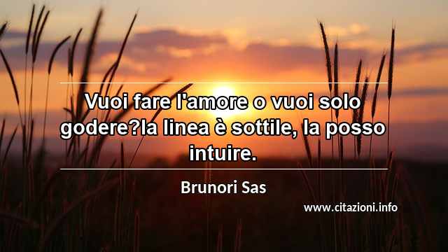 “Vuoi fare l'amore o vuoi solo godere?la linea è sottile, la posso intuire.”
