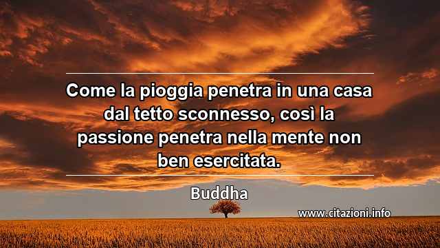 “Come la pioggia penetra in una casa dal tetto sconnesso, così la passione penetra nella mente non ben esercitata.”