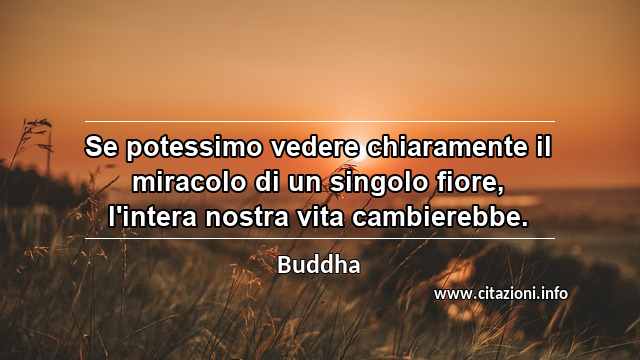 “Se potessimo vedere chiaramente il miracolo di un singolo fiore, l'intera nostra vita cambierebbe.”