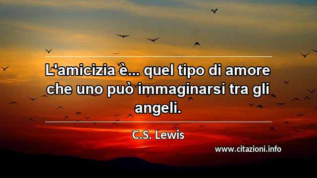 “L'amicizia è... quel tipo di amore che uno può immaginarsi tra gli angeli.”