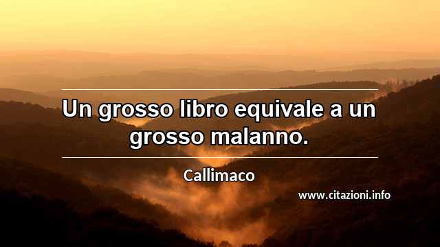 “Un grosso libro equivale a un grosso malanno.”