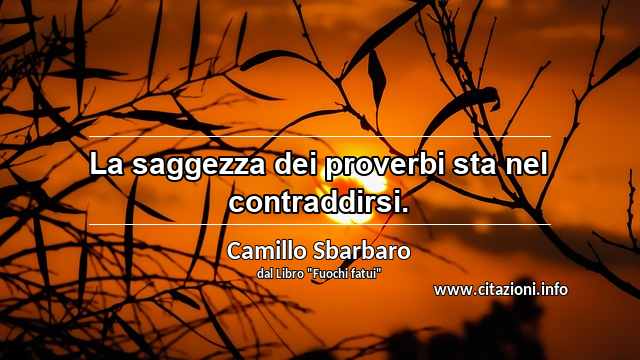 “La saggezza dei proverbi sta nel contraddirsi.”