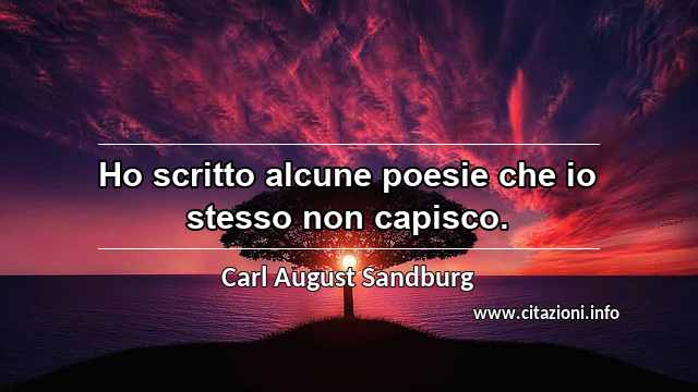 “Ho scritto alcune poesie che io stesso non capisco.”