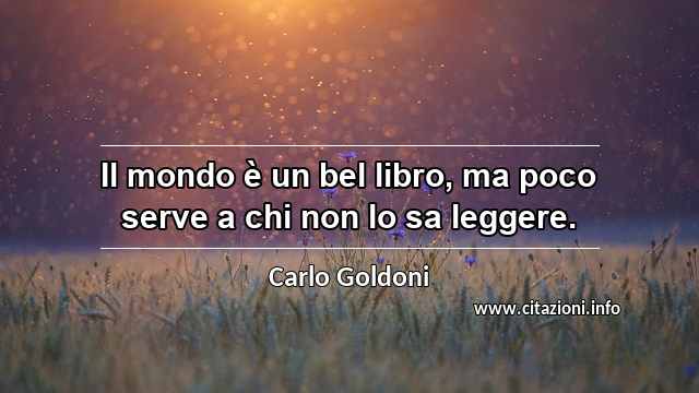 “Il mondo è un bel libro, ma poco serve a chi non lo sa leggere.”