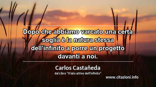“Dopo che abbiamo varcato una certa soglia è la natura stessa dell’infinito a porre un progetto davanti a noi.”