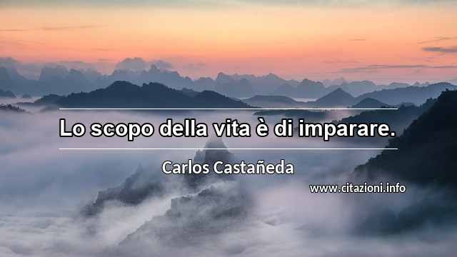 “Lo scopo della vita è di imparare.”
