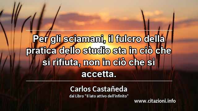 “Per gli sciamani, il fulcro della pratica dello studio sta in ciò che si rifiuta, non in ciò che si accetta.”