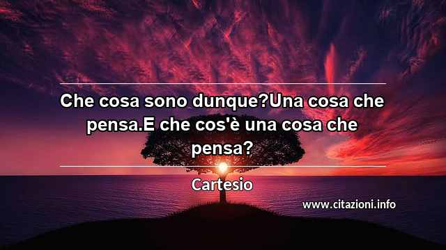 “Che cosa sono dunque?Una cosa che pensa.E che cos'è una cosa che pensa?”
