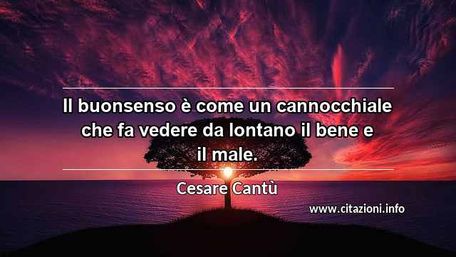 “Il buonsenso è come un cannocchiale che fa vedere da lontano il bene e il male.”