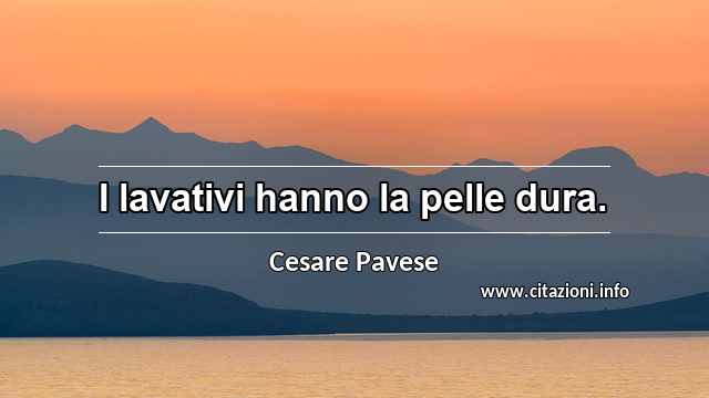“I lavativi hanno la pelle dura.”