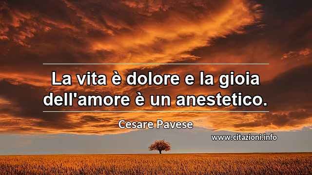 “La vita è dolore e la gioia dell'amore è un anestetico.”