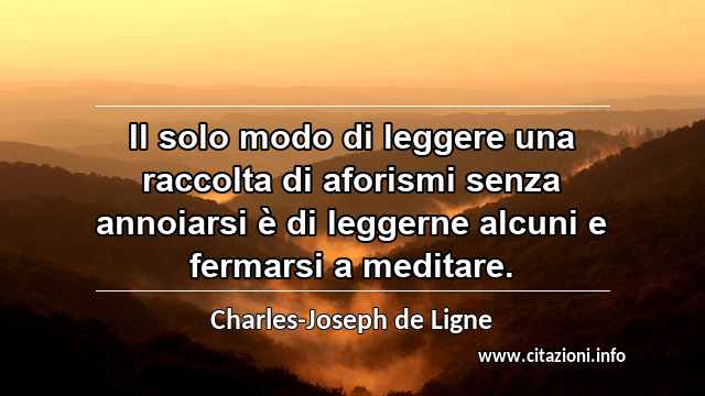 “Il solo modo di leggere una raccolta di aforismi senza annoiarsi è di leggerne alcuni e fermarsi a meditare.”