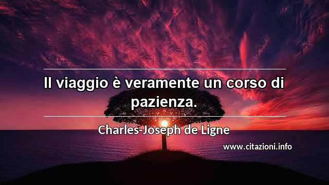 “Il viaggio è veramente un corso di pazienza.”