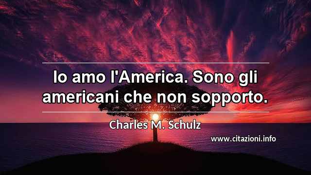 “Io amo l'America. Sono gli americani che non sopporto.”