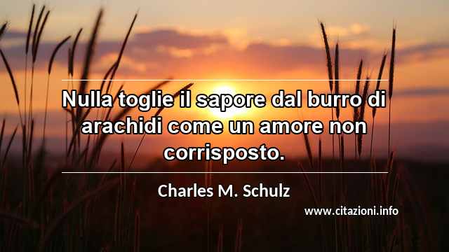“Nulla toglie il sapore dal burro di arachidi come un amore non corrisposto.”
