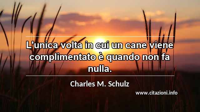 “L'unica volta in cui un cane viene complimentato è quando non fa nulla.”