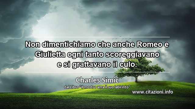 “Non dimentichiamo che anche Romeo e Giulietta ogni tanto scoreggiavano e si grattavano il culo.”