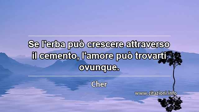 “Se l'erba può crescere attraverso il cemento, l'amore può trovarti ovunque.”