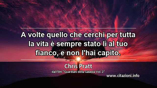 “A volte quello che cerchi per tutta la vita è sempre stato lì al tuo fianco, e non l'hai capito.”
