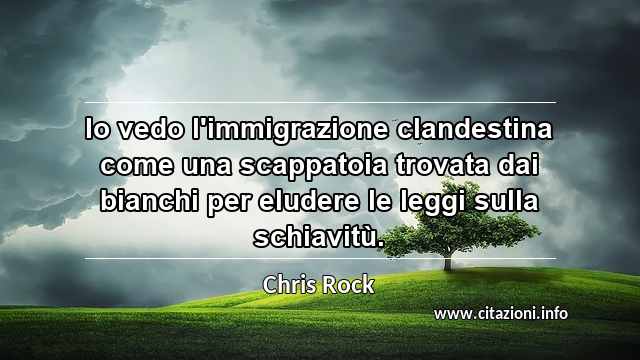 “Io vedo l'immigrazione clandestina come una scappatoia trovata dai bianchi per eludere le leggi sulla schiavitù.”
