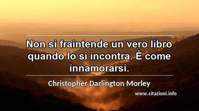 “Non si fraintende un vero libro quando lo si incontra. È come innamorarsi.”