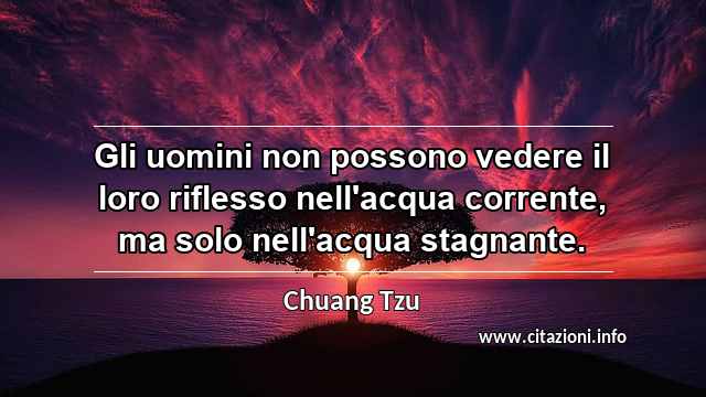 “Gli uomini non possono vedere il loro riflesso nell'acqua corrente, ma solo nell'acqua stagnante.”