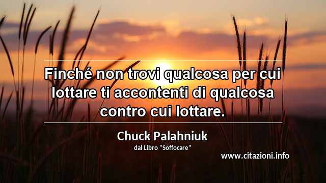 “Finché non trovi qualcosa per cui lottare ti accontenti di qualcosa contro cui lottare.”