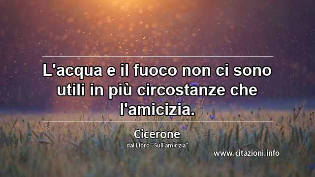 “L'acqua e il fuoco non ci sono utili in più circostanze che l'amicizia.”