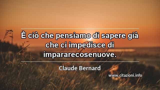 “È ciò che pensiamo di sapere già che ci impedisce di impararecosenuove.”