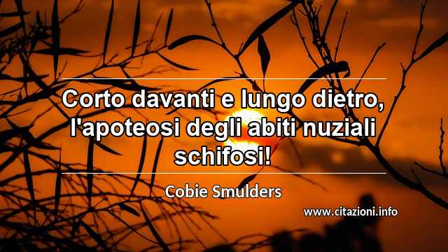 “Corto davanti e lungo dietro, l'apoteosi degli abiti nuziali schifosi!”