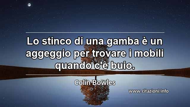 “Lo stinco di una gamba è un aggeggio per trovare i mobili quando c'è buio.”