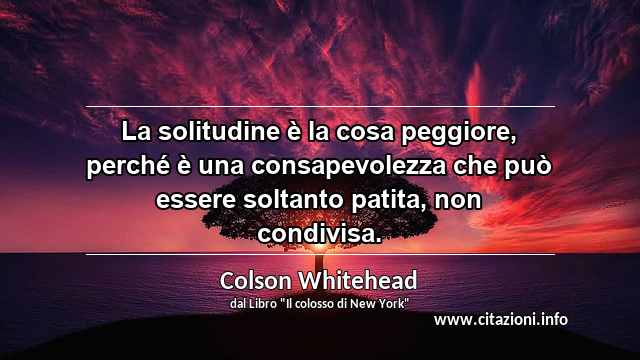 “La solitudine è la cosa peggiore, perché è una consapevolezza che può essere soltanto patita, non condivisa.”