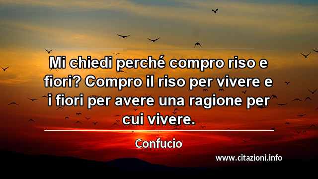 “Mi chiedi perché compro riso e fiori? Compro il riso per vivere e i fiori per avere una ragione per cui vivere.”