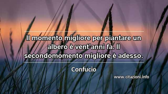 “Il momento migliore per piantare un albero è vent’anni fa. Il secondomomento migliore è adesso.”