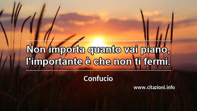 “Non importa quanto vai piano, l'importante è che non ti fermi.”