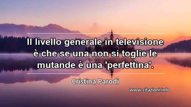 “Il livello generale in televisione è che se una non si toglie le mutande è una 'perfettina'.”