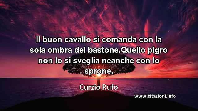 “Il buon cavallo si comanda con la sola ombra del bastone.Quello pigro non lo si sveglia neanche con lo sprone.”